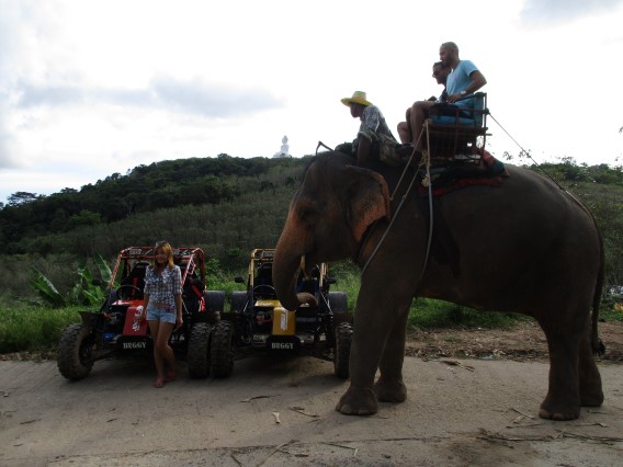 phuket buggy tour