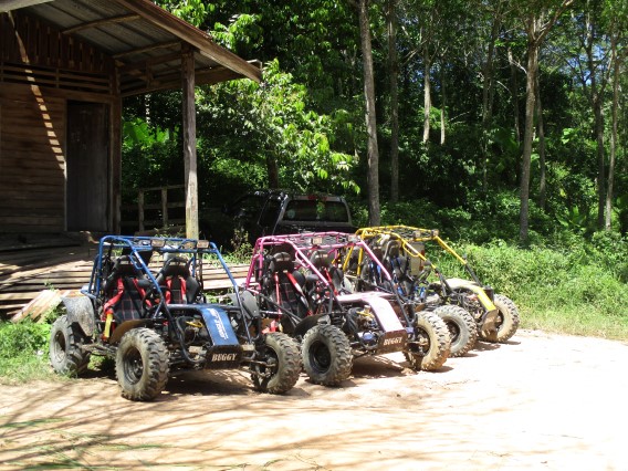 Phuket Buggy 1 Hour Elephant 30 Minute Tour 6