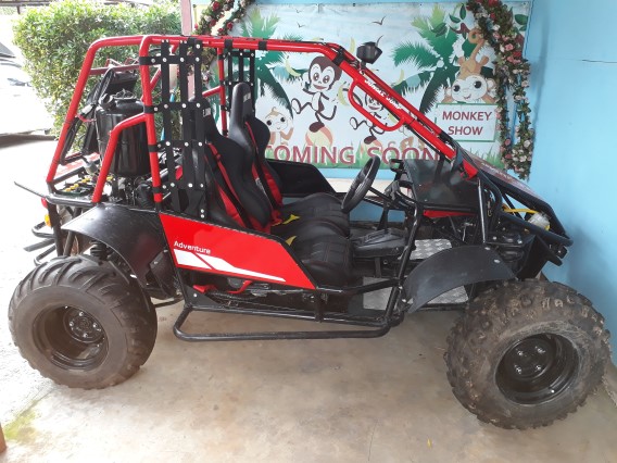 Phuket Buggy 1 Hour Tour 3