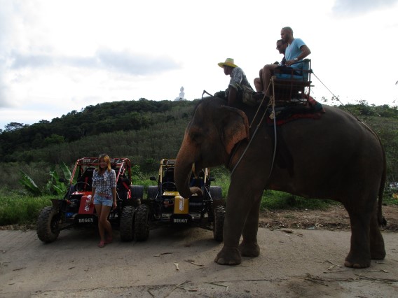 Phuket Buggy 30 Minute Elephant Treking 30 Minute Tour 1